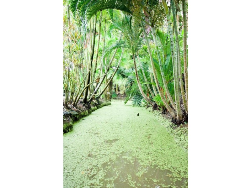 71 Clift Road, Cardwell QLD 4849