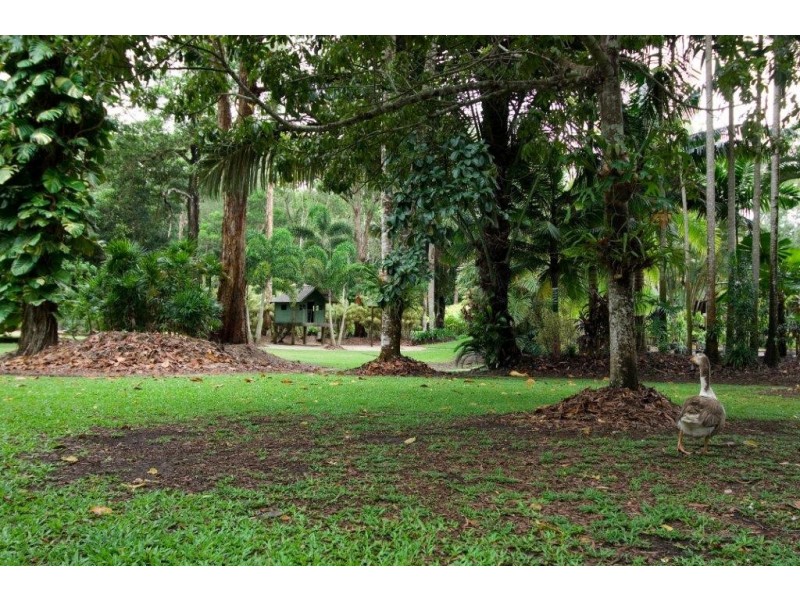 71 Clift Road, Cardwell QLD 4849