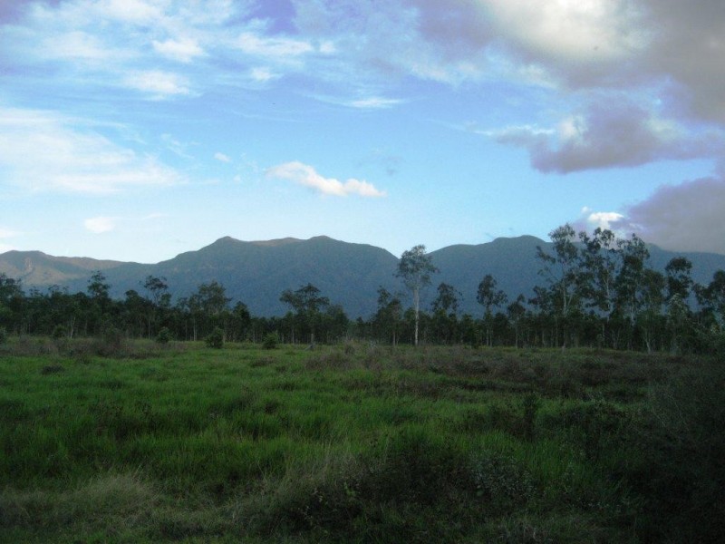 125 Hamilton Road, Cardwell QLD 4849