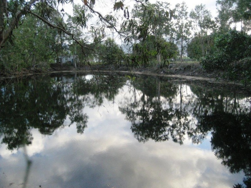 125 Hamilton Road, Cardwell QLD 4849