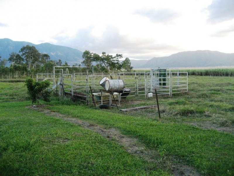 125 Hamilton Road, Cardwell QLD 4849
