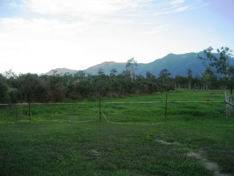 125 Hamilton Road, Cardwell QLD 4849