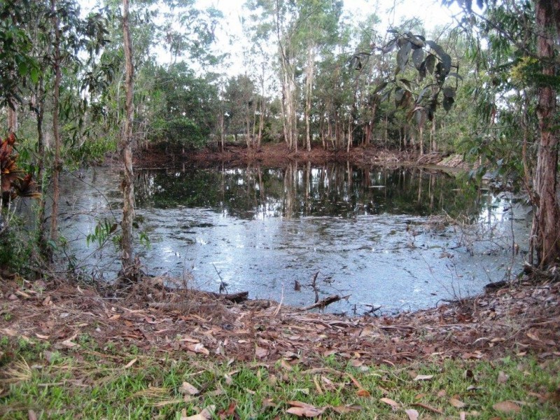 125 Hamilton Road, Cardwell QLD 4849