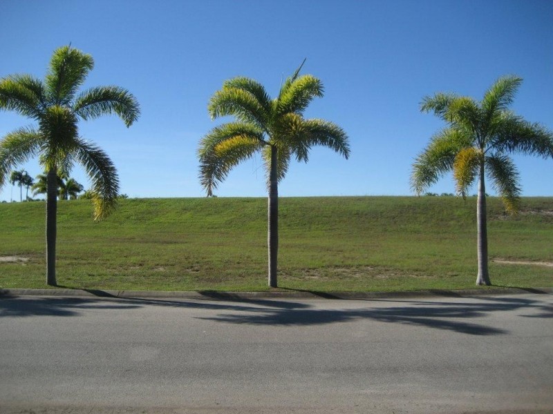 14 Royal Palm Avenue, Cardwell QLD 4849