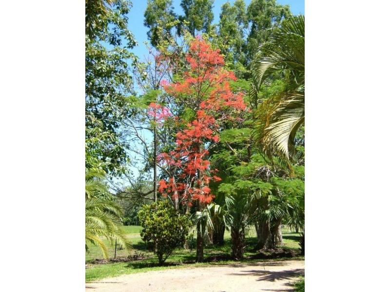 38 Clift Road, Cardwell QLD 4849