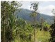 Lot 4 Hamilton Road, Cardwell QLD 4849