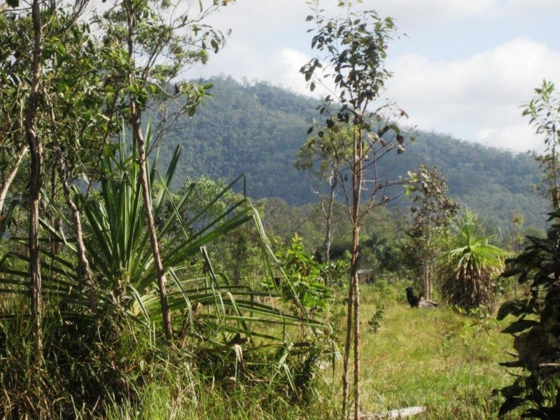 Lot 4 Hamilton Road, Cardwell QLD 4849