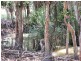 Lot 4 Hamilton Road, Cardwell QLD 4849