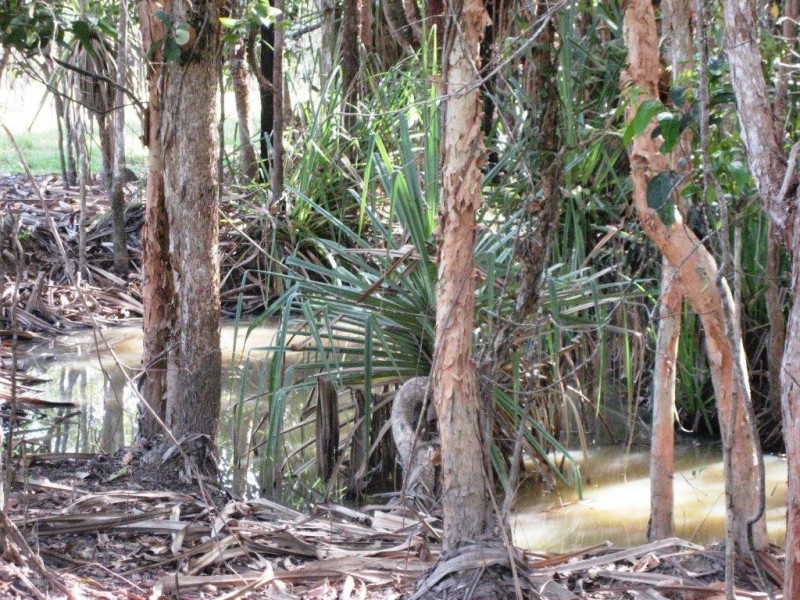 Lot 4 Hamilton Road, Cardwell QLD 4849