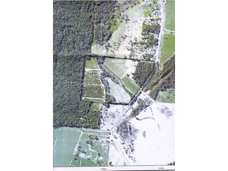 Lot 3 Lily Creek Road, Cardwell QLD 4849