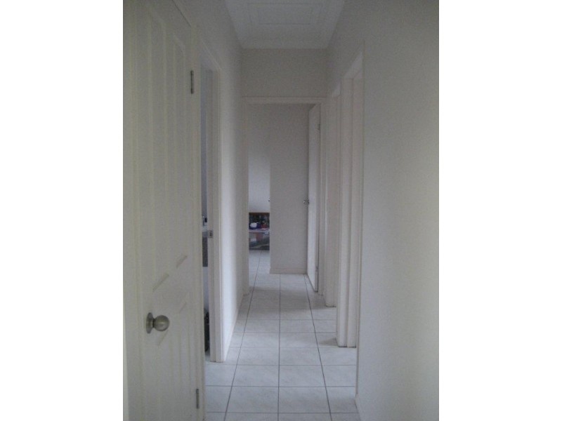 11 Curtis Road, Cardwell QLD 4849