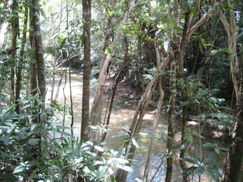 Lot 15 Curtis Road, Cardwell QLD 4849