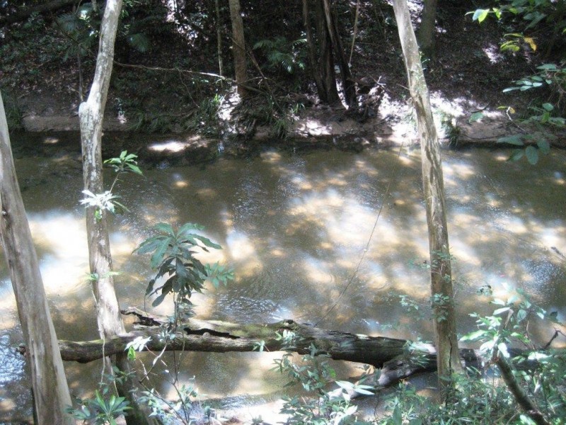 Lot 15 Curtis Road, Cardwell QLD 4849