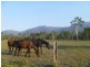 Lot 3 Ellerbeck Road, Cardwell QLD 4849