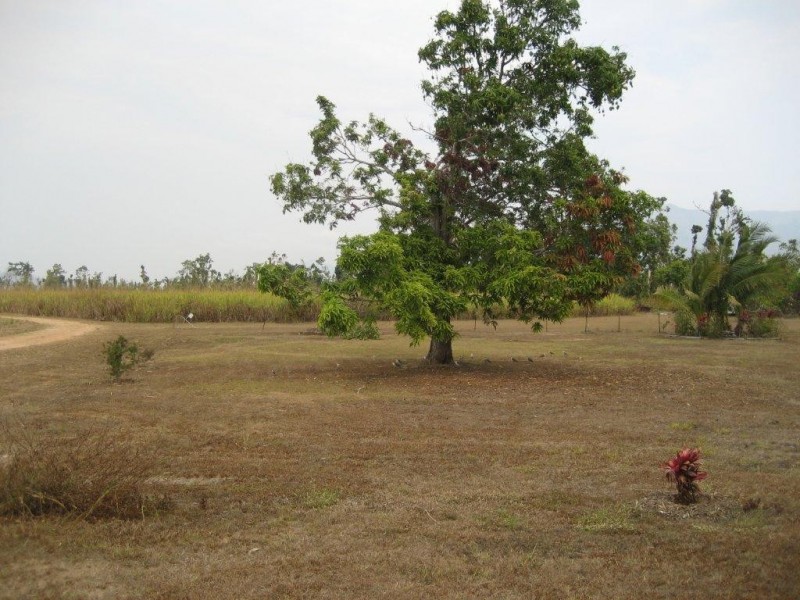 Lot 17 Ellerbeck Road, Cardwell QLD 4849