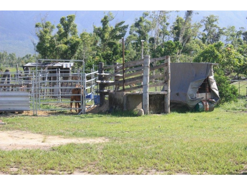 85 Hamilton Road, Cardwell QLD 4849