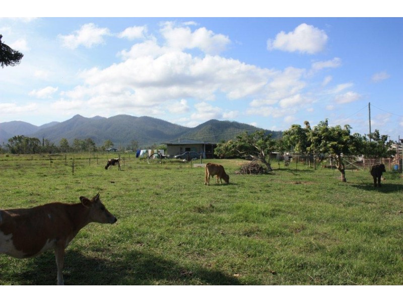 85 Hamilton Road, Cardwell QLD 4849