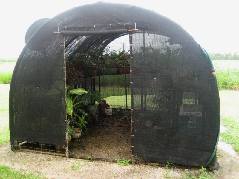 171 Curtis Road, Cardwell QLD 4849