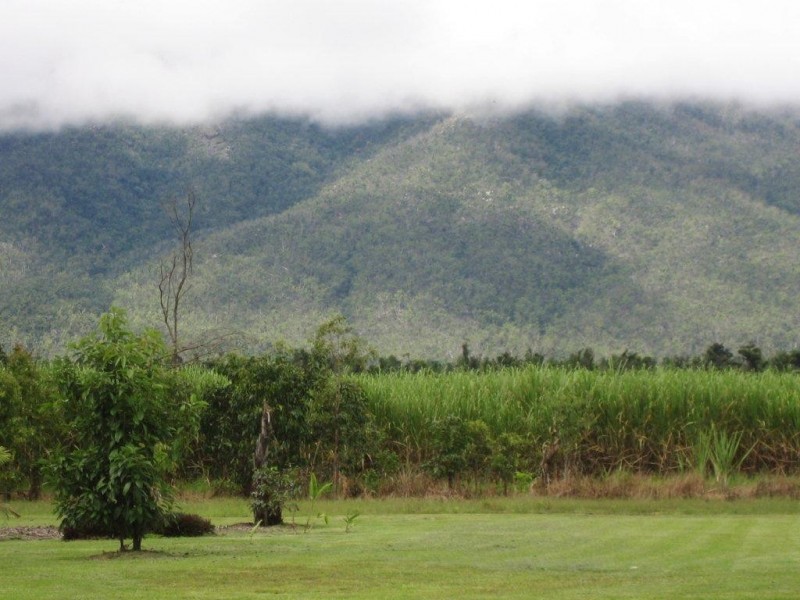 681 Ellerbeck Road, Cardwell QLD 4849