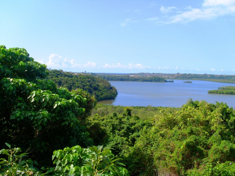 A/15 Lake Tahoe, Bilambil Heights NSW 2486