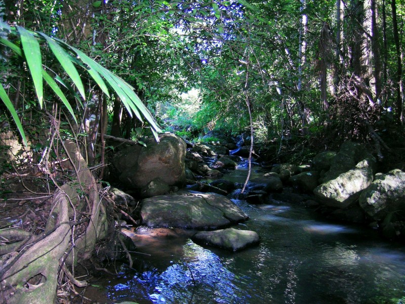 512 Carool Rd, Carool NSW 2486