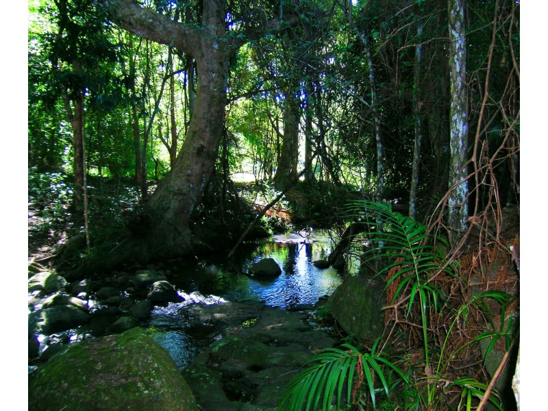 512 Carool Rd, Carool NSW 2486