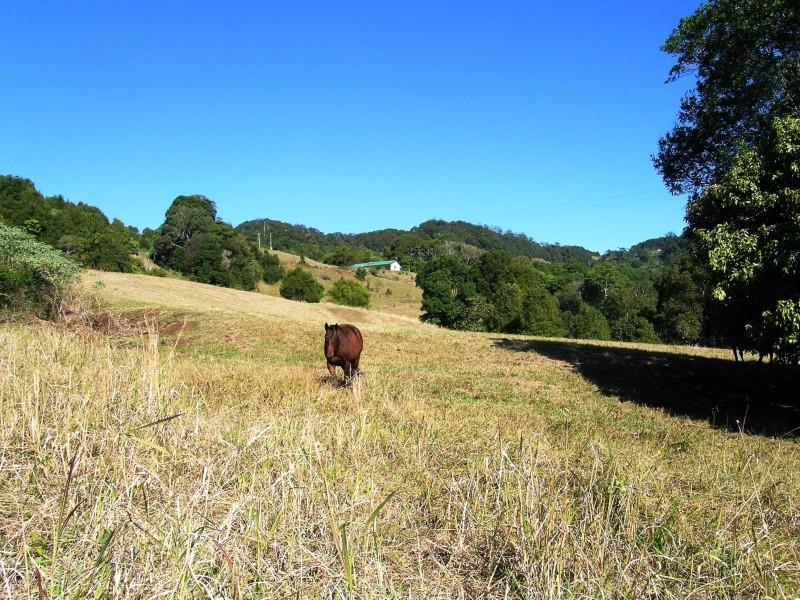 512 Carool Rd, Carool NSW 2486