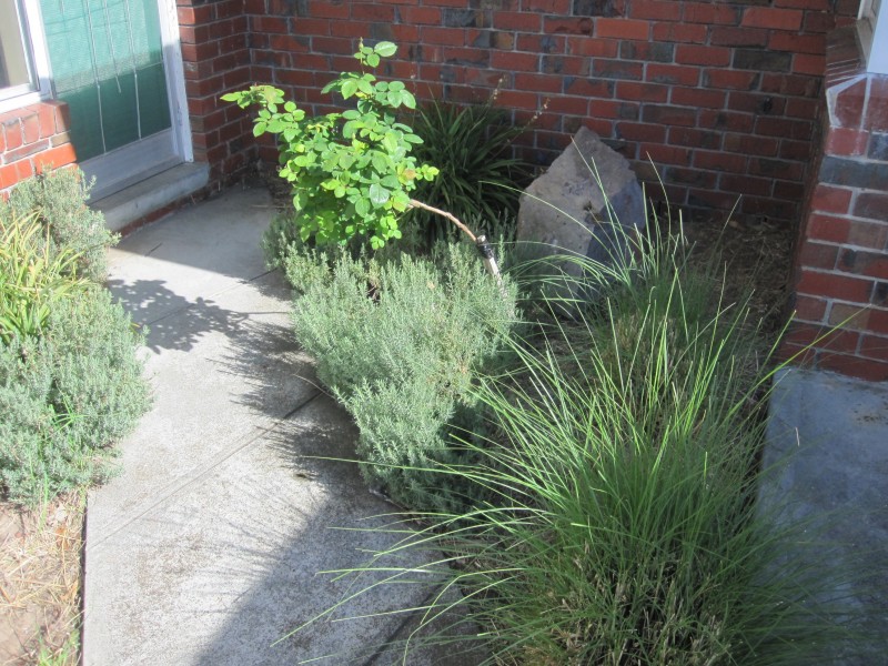 1/11 Duncan Avenue, Seaford VIC 3198