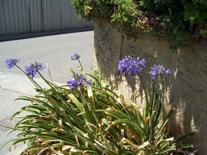 18/436 Safety Bay Road, Safety Bay WA 6169