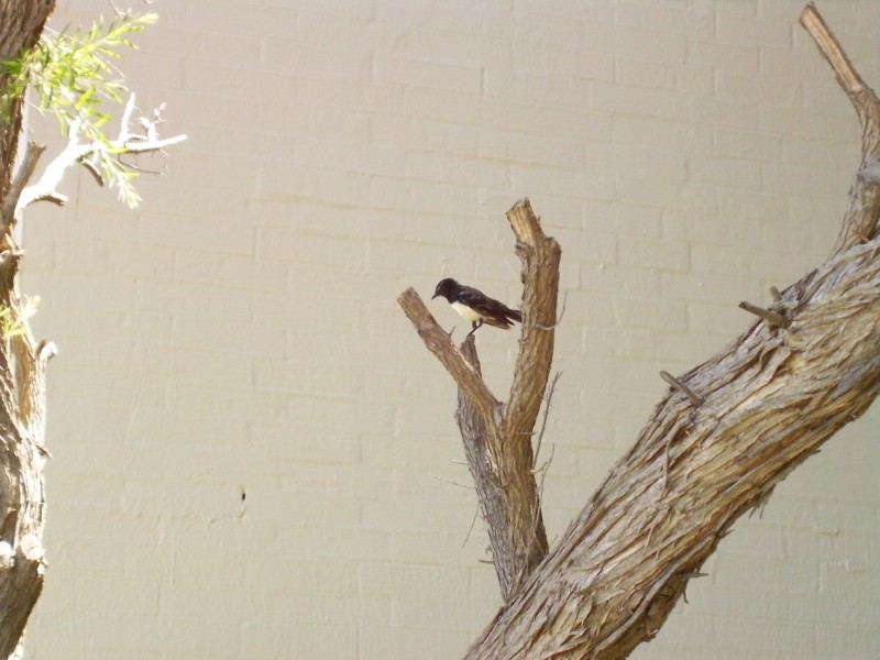 18/436 Safety Bay Road, Safety Bay WA 6169