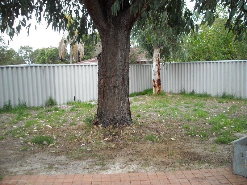 77 Amazon Drive, Beechboro WA 6063