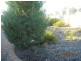 1 Amazon Drive, Beechboro WA 6063