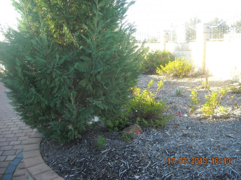 1 Amazon Drive, Beechboro WA 6063