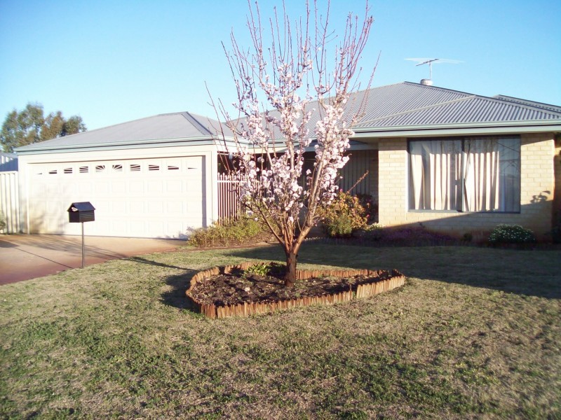 1 Driftwood Way, Beechboro WA 6063