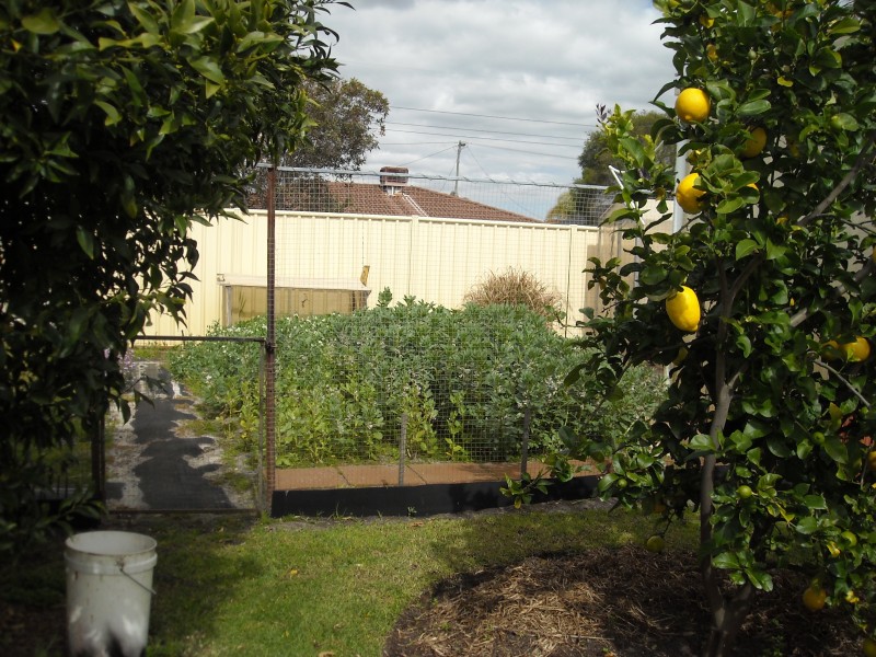 3 Purus Close, Beechboro WA 6063