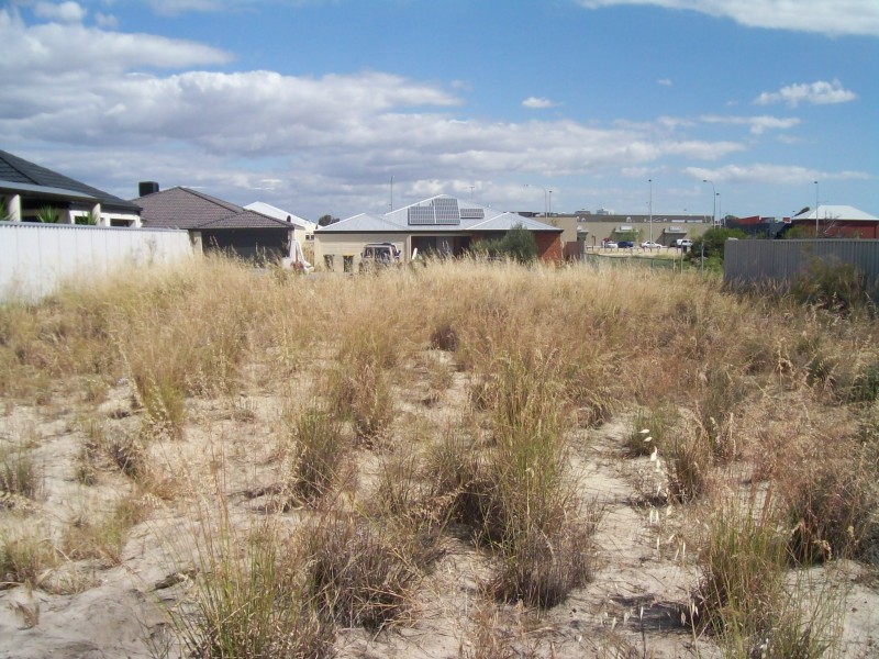 74 Wintergreene Drive, Beechboro WA 6063