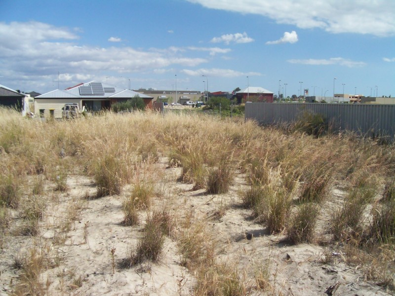 74 Wintergreene Drive, Beechboro WA 6063