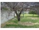 43 Lichfield Street, Victoria Park WA 6100