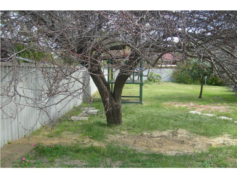 43 Lichfield Street, Victoria Park WA 6100
