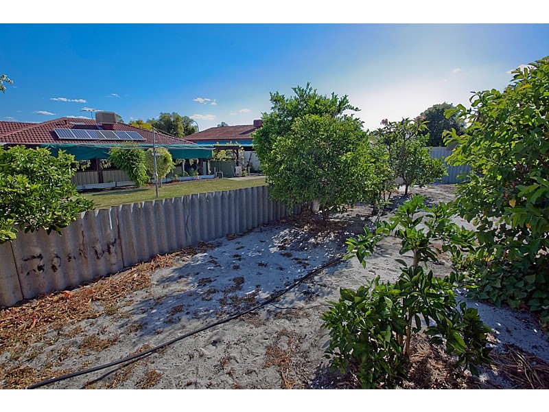 19 Maguire Avenue, Beechboro WA 6063