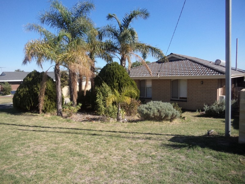 3 Lalina Way, Wanneroo WA 6065