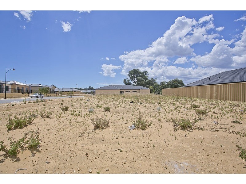 36 Hollyford Parade, Butler WA 6036