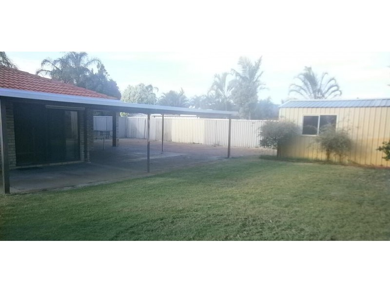 7 Wentworth Grove, Morley WA 6062