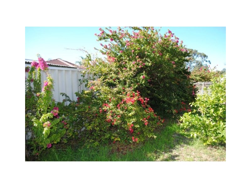 7/3 Yeo Court, Koondoola WA 6064