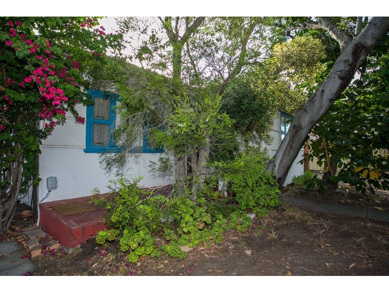 49 Star Street, Carlisle WA 6101