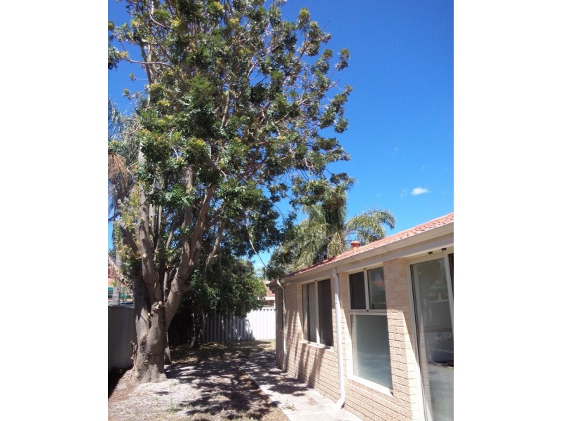 33A Rosmead Avenue, Beechboro WA 6063