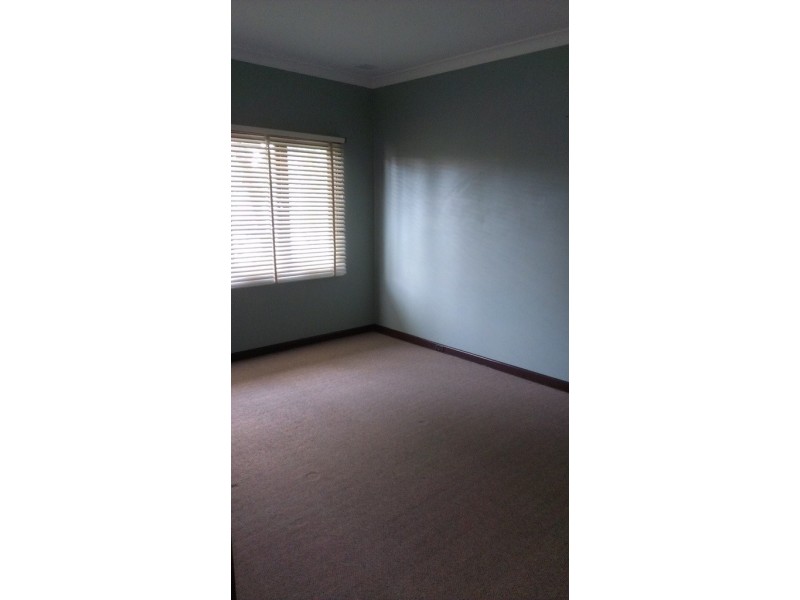 16 Quadea Way, Nollamara WA 6061