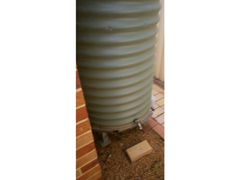 3 Clague Street, Rivervale WA 6103