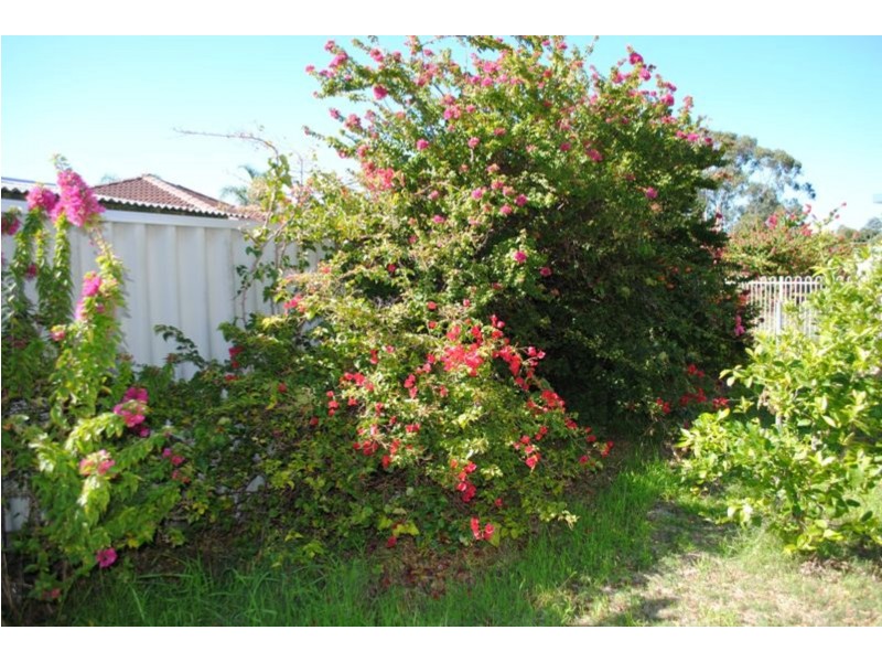 7/3 Yeo Court, Koondoola WA 6064