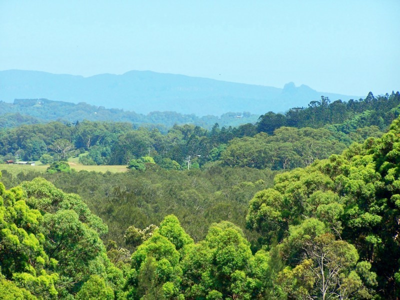 43 Marsupial Drive, Pottsville NSW 2489